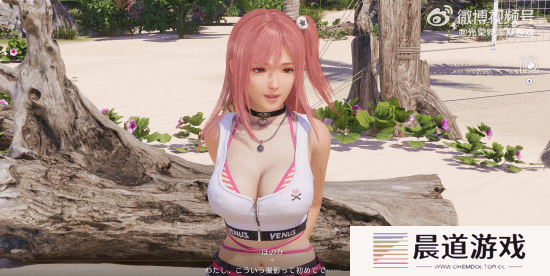 本站