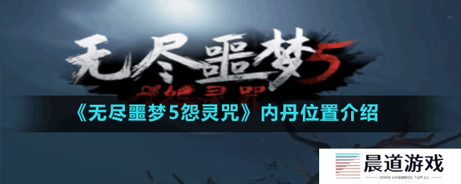 《无尽噩梦5怨灵咒》内丹位置介绍